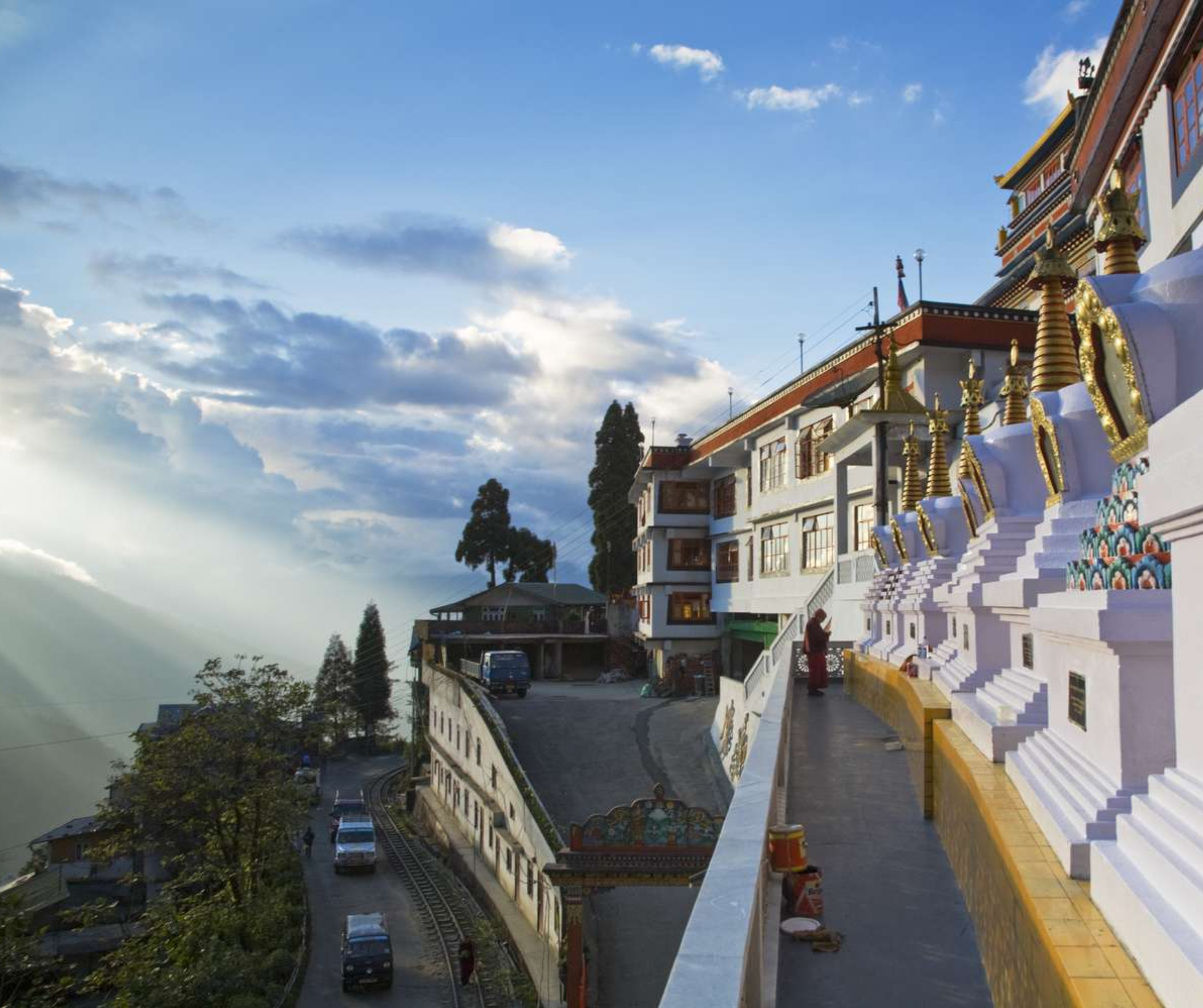 Darjeeling for Nature Lovers: Best Eco-Friendly Activities and Accommodations