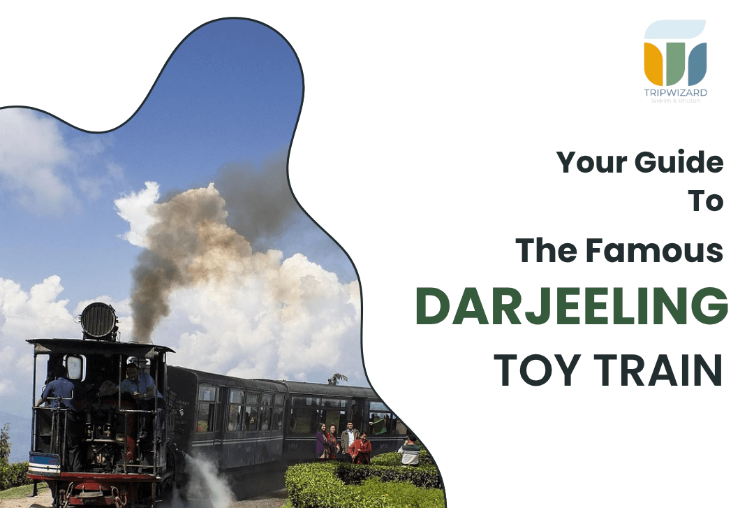 Your Guide to the Famous Darjeeling Toy Train