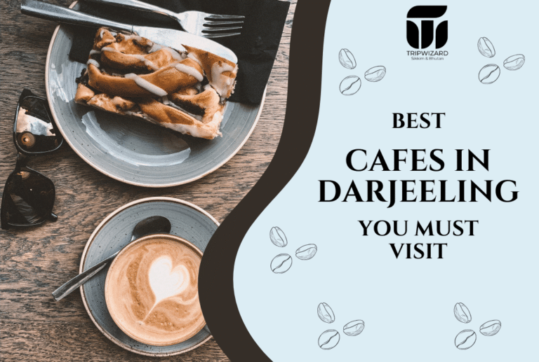Best Cafes in Darjeeling You Must Visit