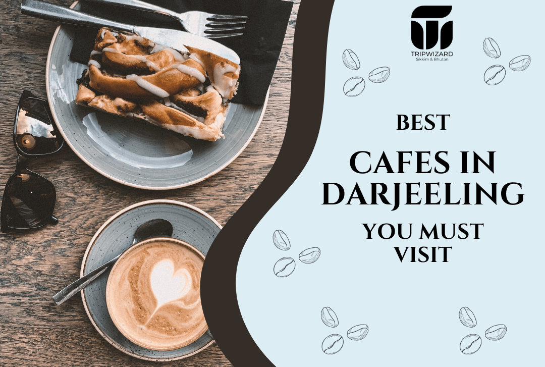 Best Cafes in Darjeeling You Must Visit