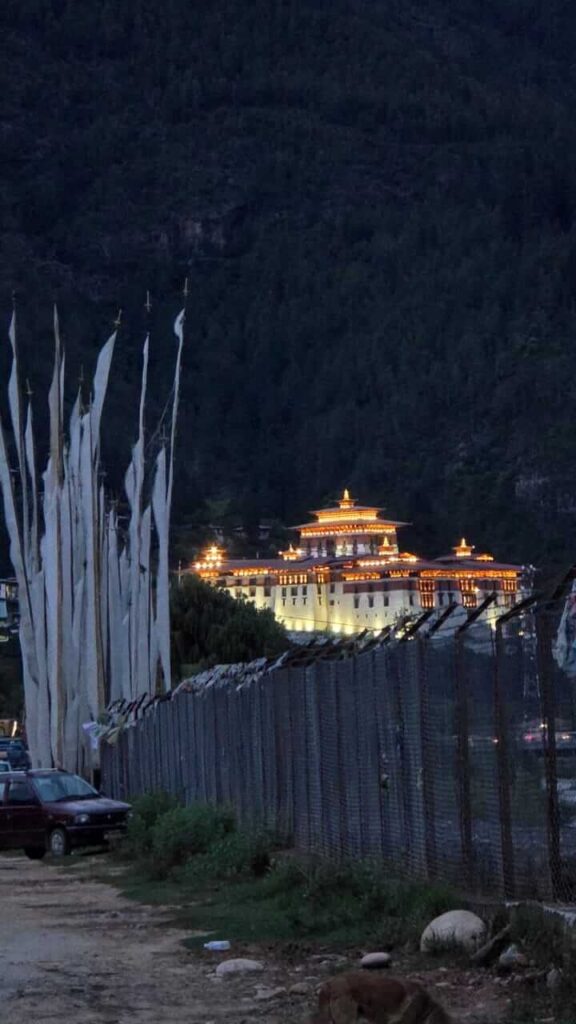 The image shows a large, traditional Tibetan-style fortress or monastery building, likely a Dzong, illuminated with bright lights at night. The building is perched against a dark, forested mountain background. In the foreground, there are several tall, vertical white prayer flags and a dark fence.