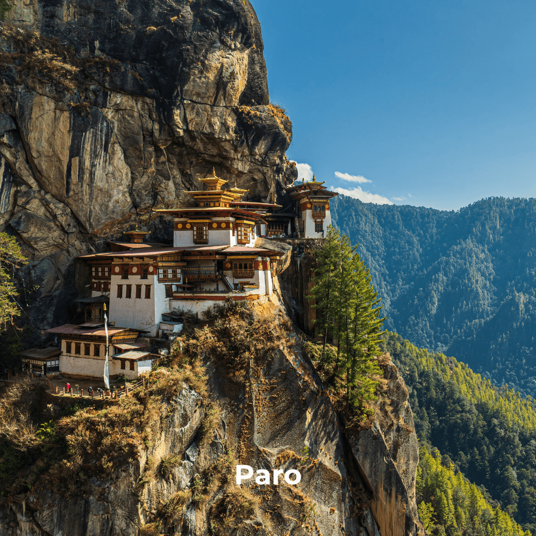 paro-image-2