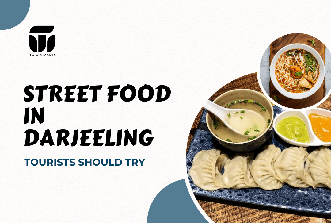 Street Food in Darjeeling Tourists Should Try