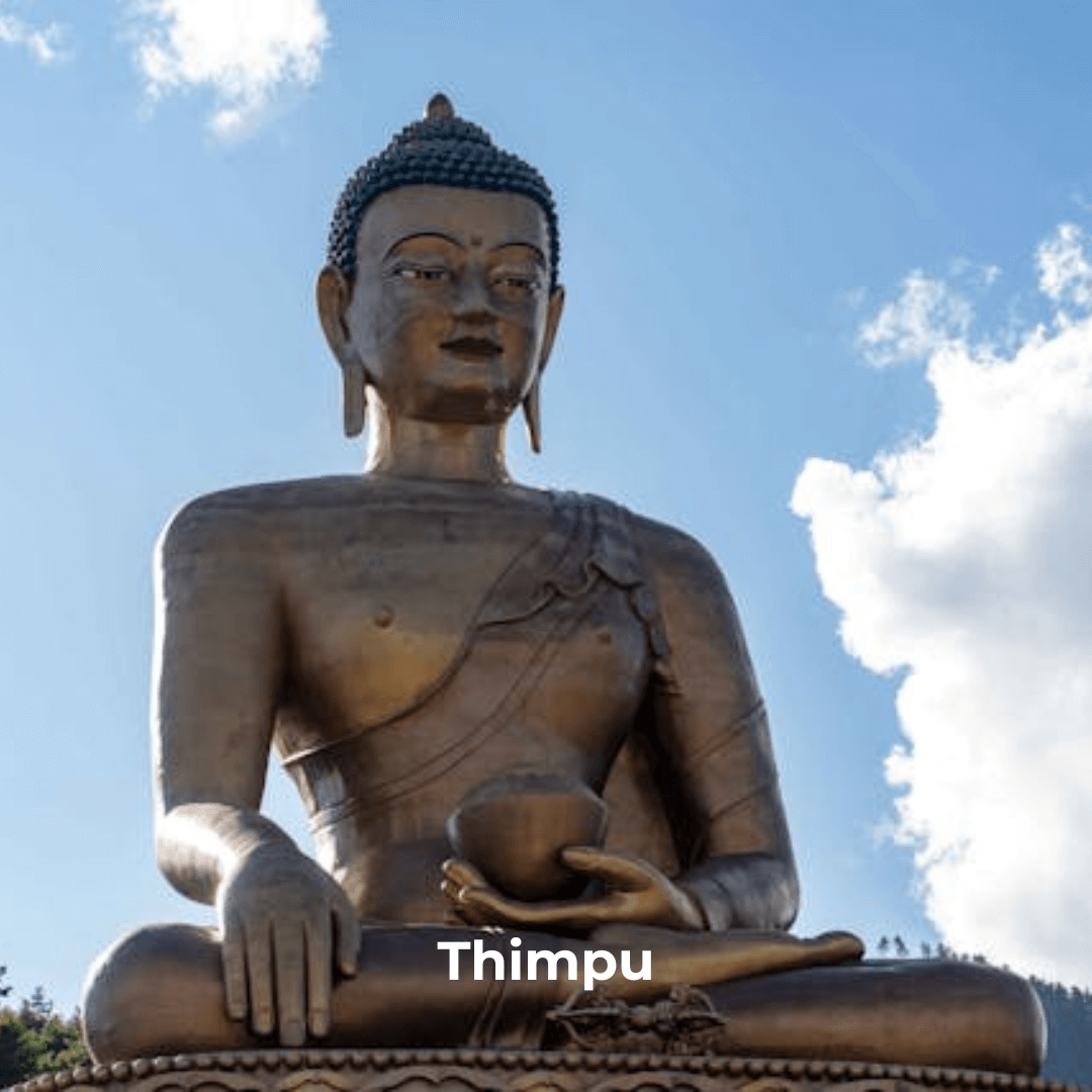 thimpu-image-2