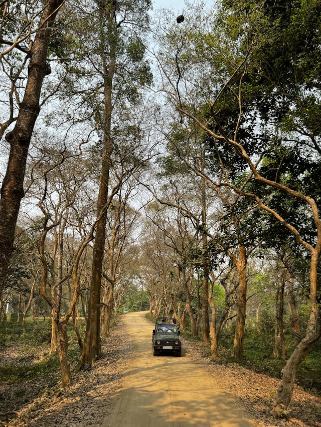 Tourists on a jeep safari in Kaziranga National Park Assam