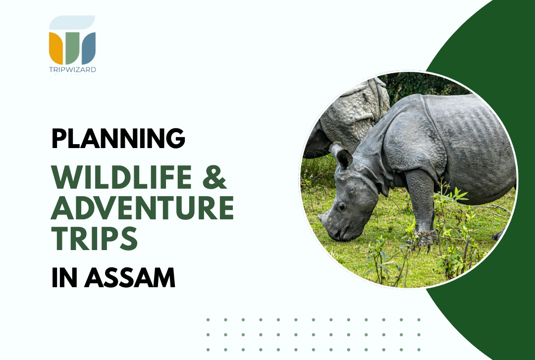 Planning Wildlife and Adventure Trips in Assam