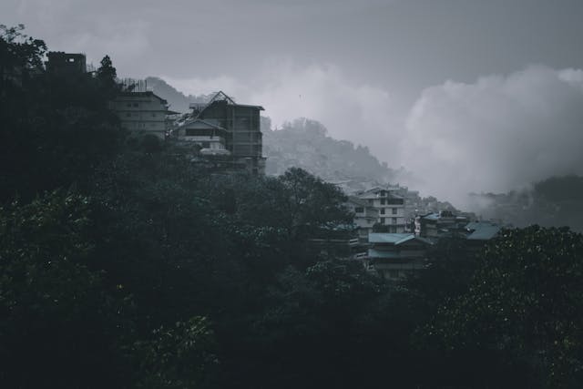 foggy roads in sikkim