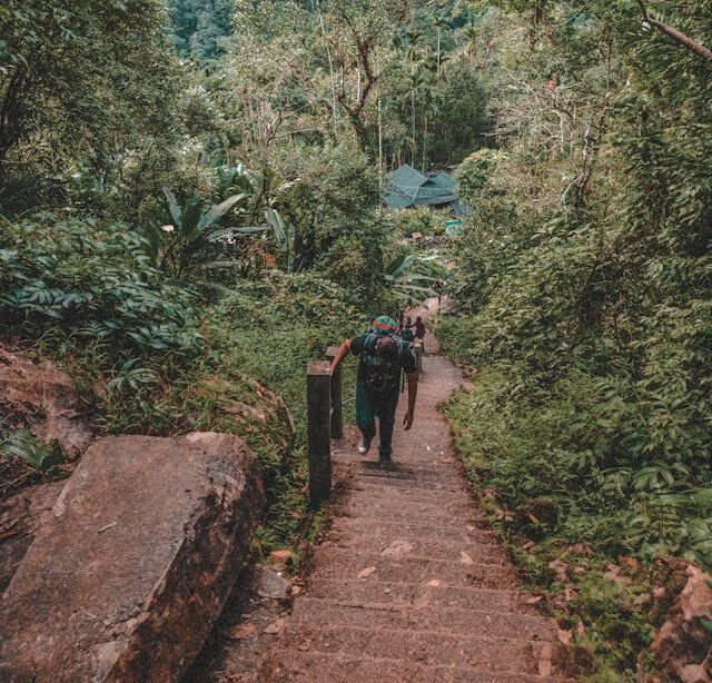 a group of travellers on a trekking trip