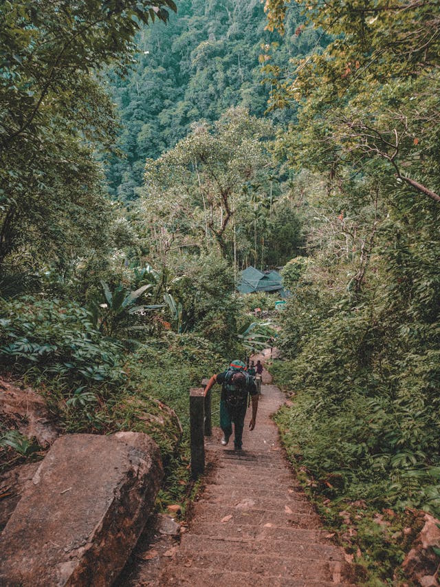 group of people trekking in the hills of  Northeast India