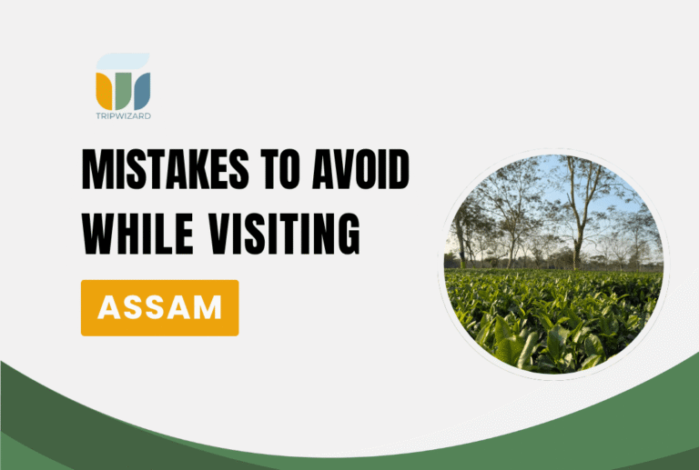Mistakes to Avoid While Visiting Assam
