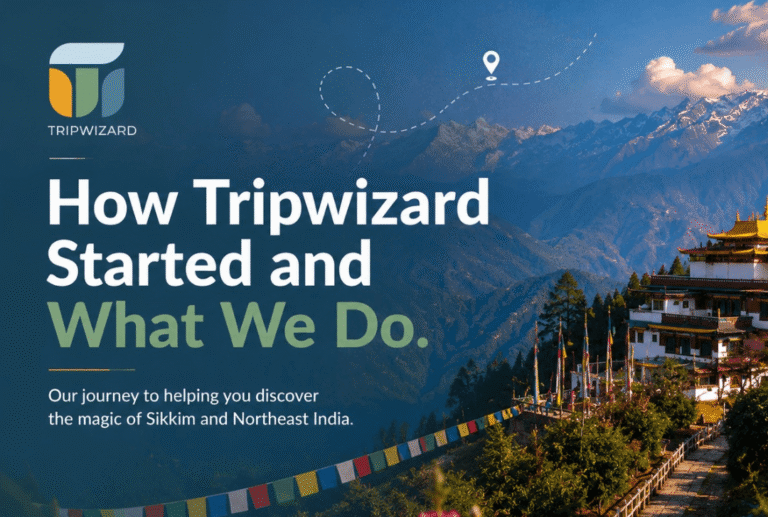 How Tripwizard Started and What We Do